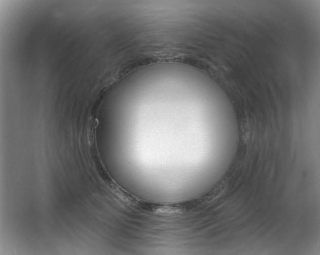 X0000064050515200601271002