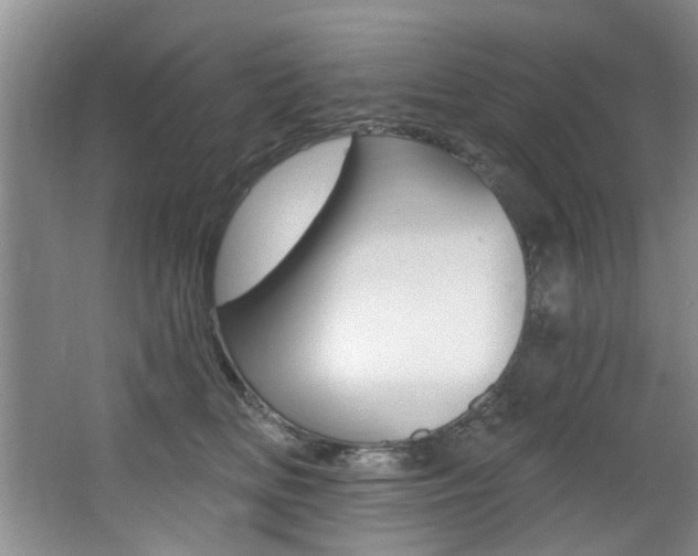 X0000064050518200601271002