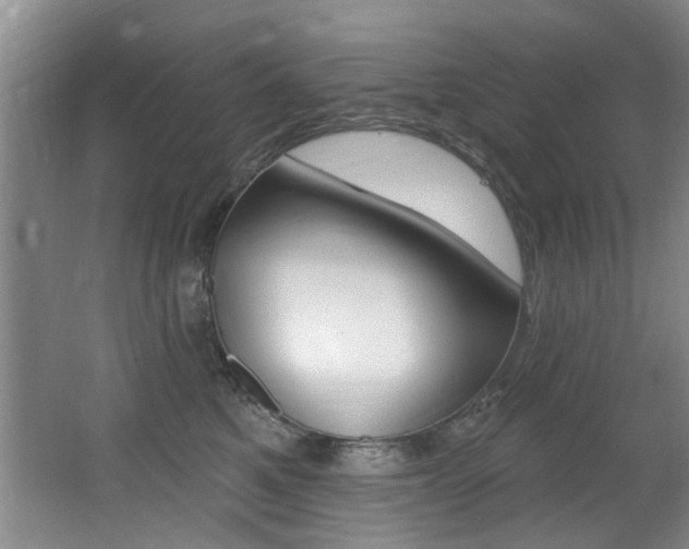 X0000064050521200601271002