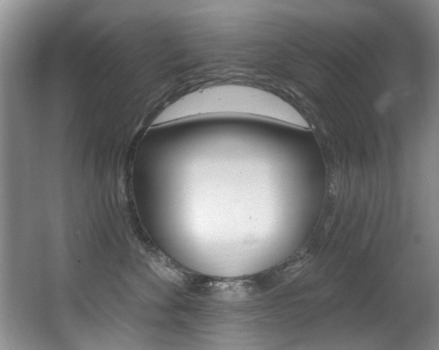 X0000064050524200601271001