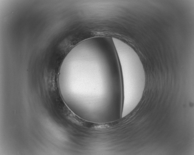 X0000064050525200601271001