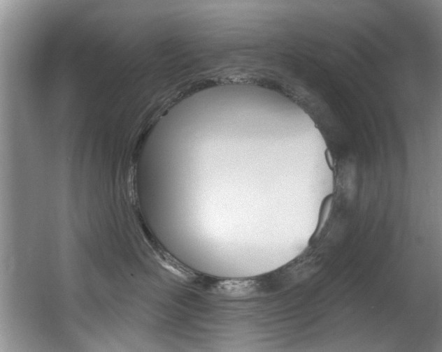 X0000064050526200601271001
