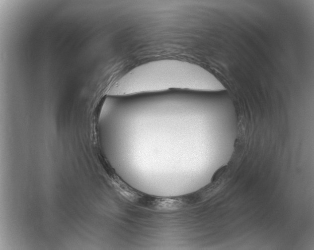 X0000064050527200601271001