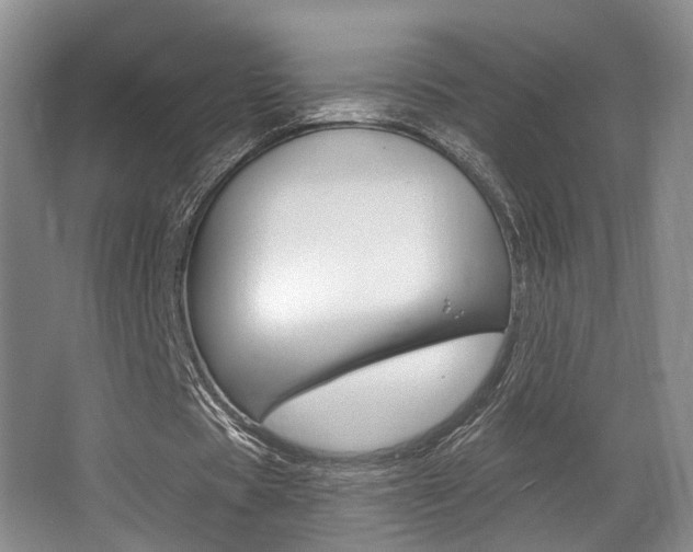 X0000064050529200601271001