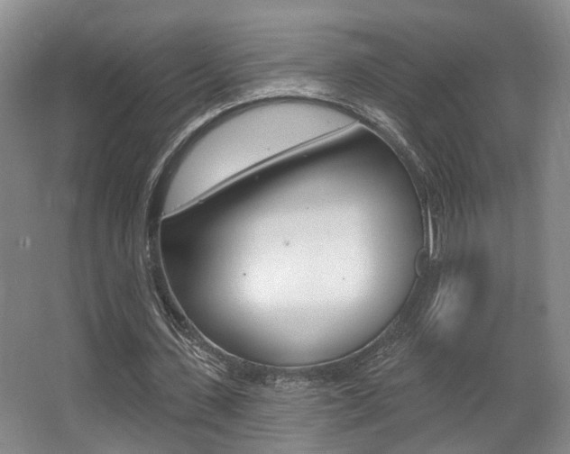 X0000064050531200601271001