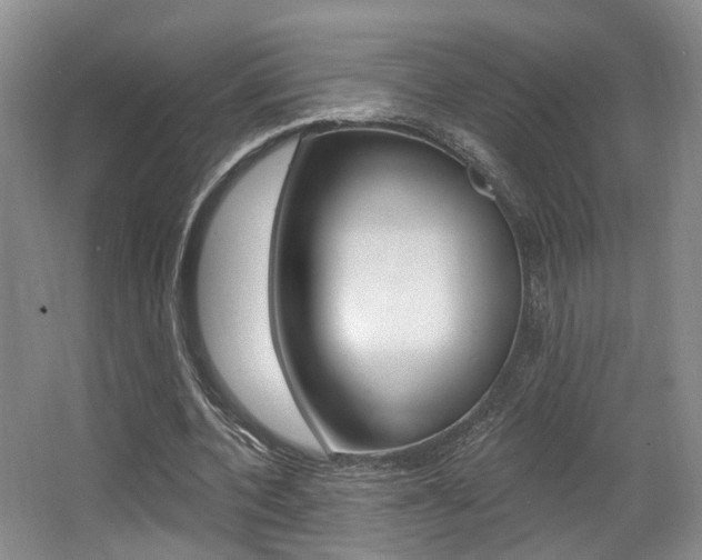 X0000064050532200601271001
