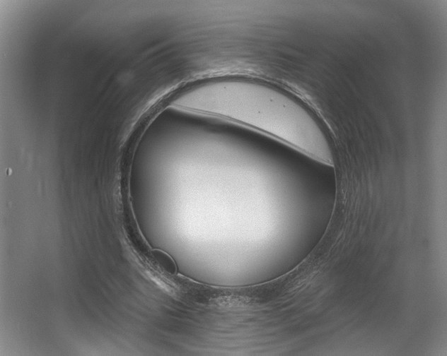 X0000064050535200601271001