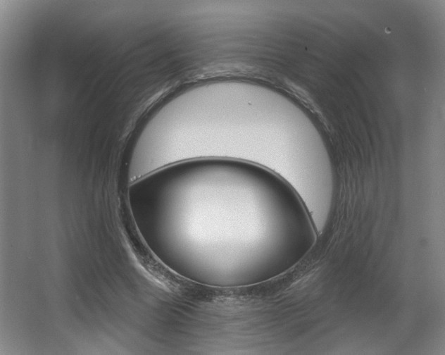 X0000064050538200601271001