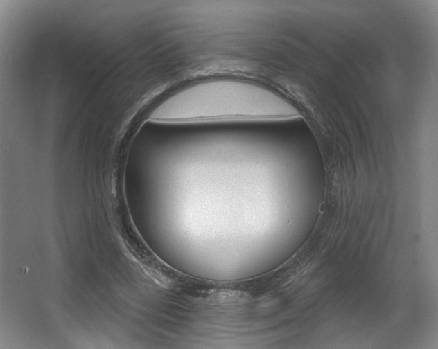 X0000064050539200601271001
