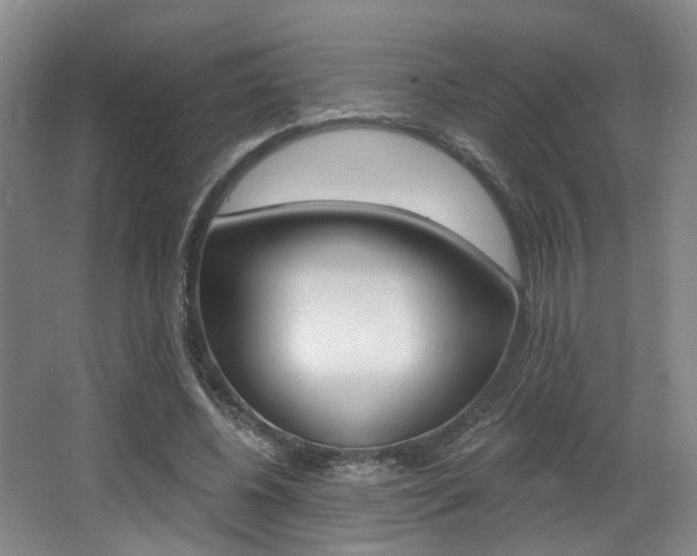 X0000064050540200601271001