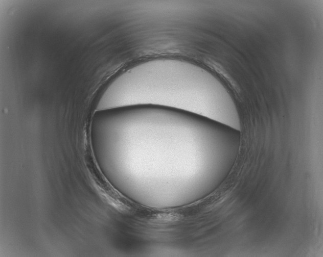 X0000064050541200601271001