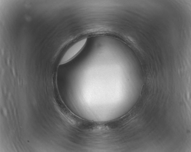 X0000064050543200601271001