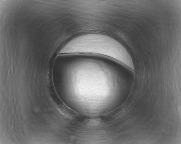 X0000064050548200601271001