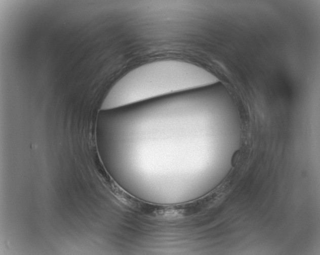 X0000064050553200601271001