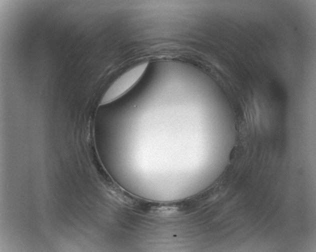 X0000064050554200601271001