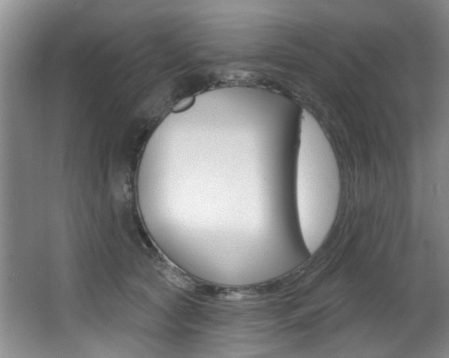 X0000064050561200601271001