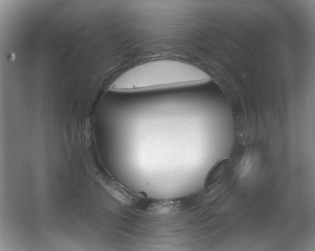 X0000064050563200601271001
