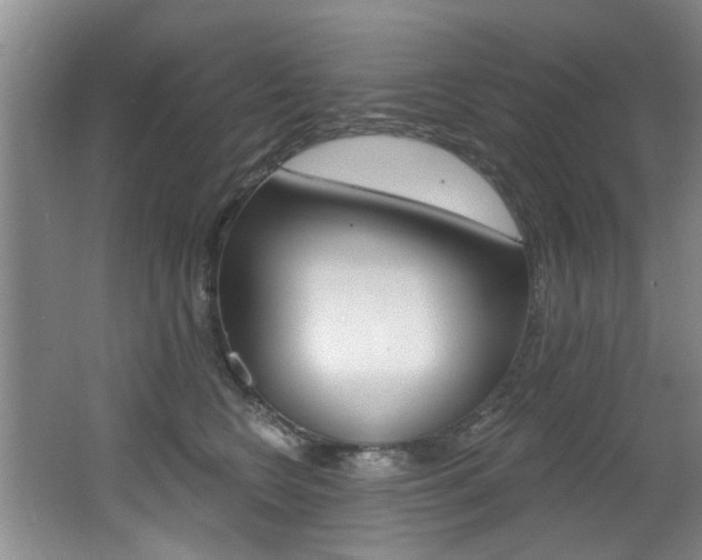 X0000064050566200601271001