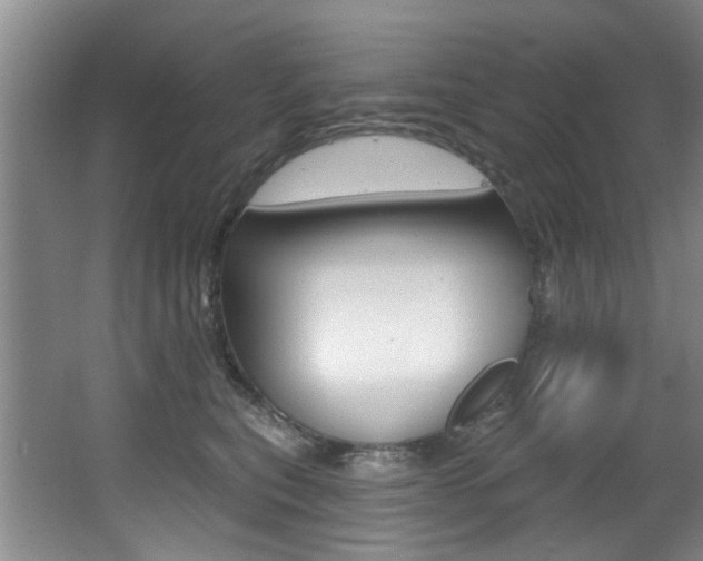 X0000064050567200601271001