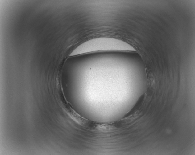 X0000064050568200601271001