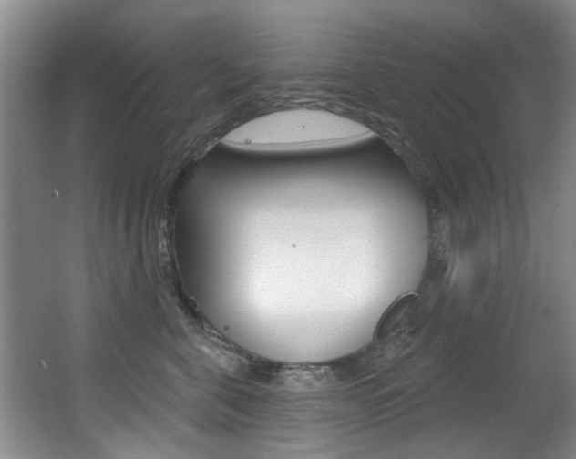 X0000064050571200601271001