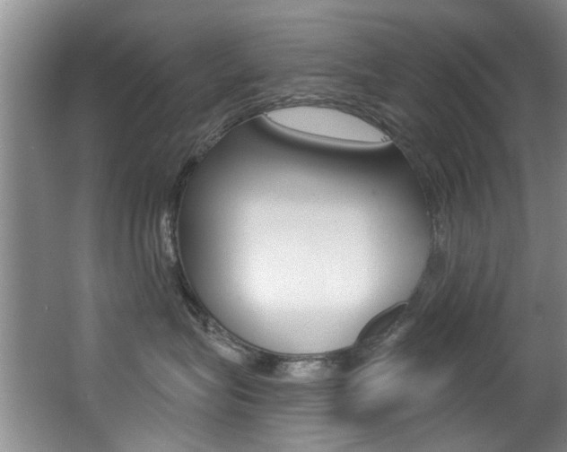 X0000064050575200601271001