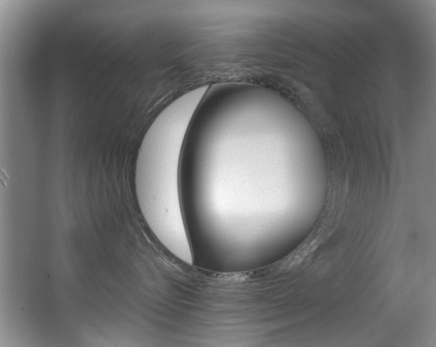 X0000064050576200601271001