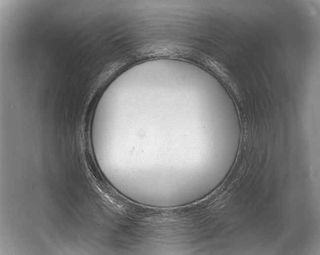 X0000064050578200601271001