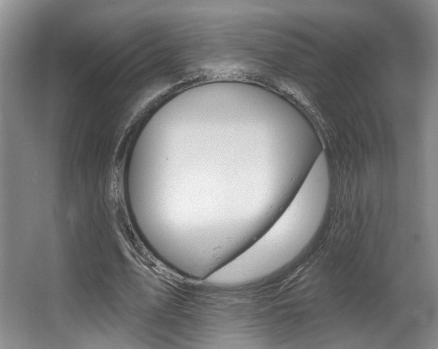 X0000064050583200601271000
