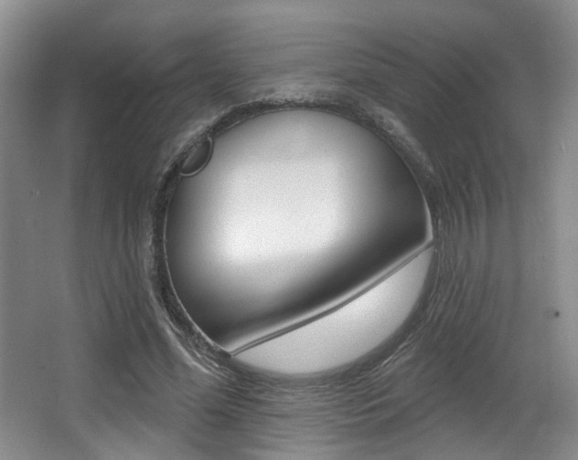 X0000064050588200601271000