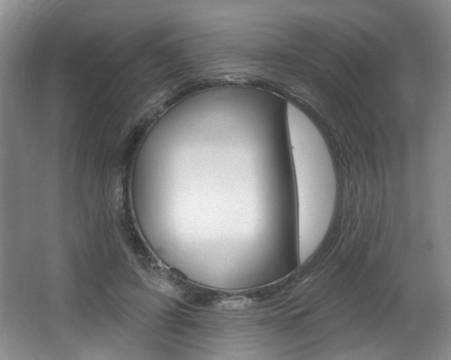 X0000064050595200601271000