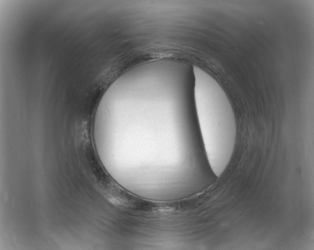 X0000064050598200601271000