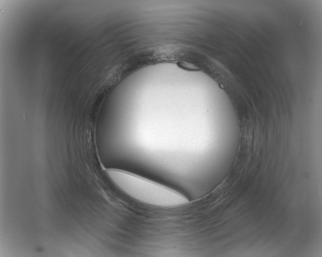 X0000064050603200601271000