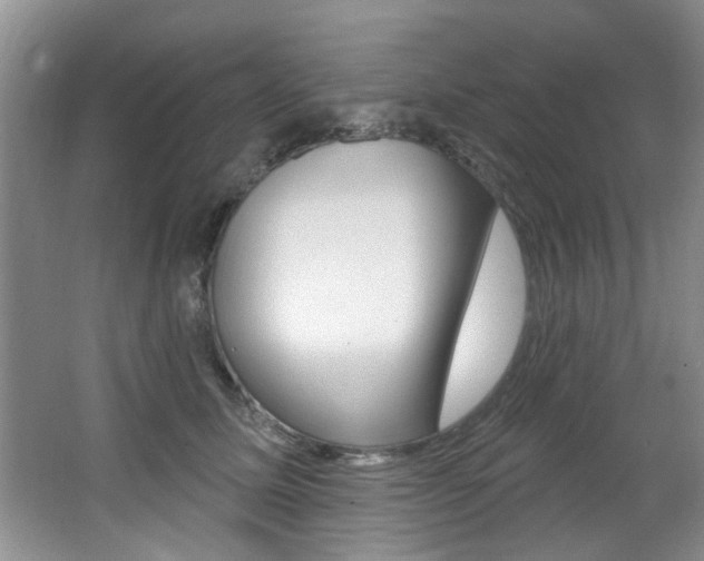 X0000064050611200601271000
