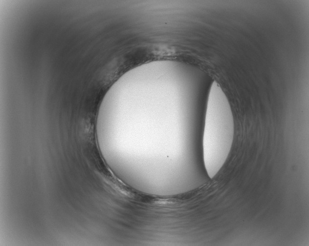 X0000064050614200601271000