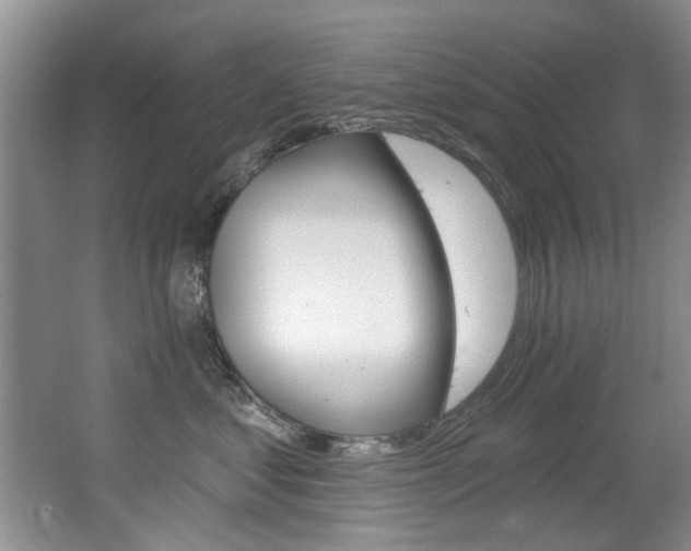X0000064050621200601271000