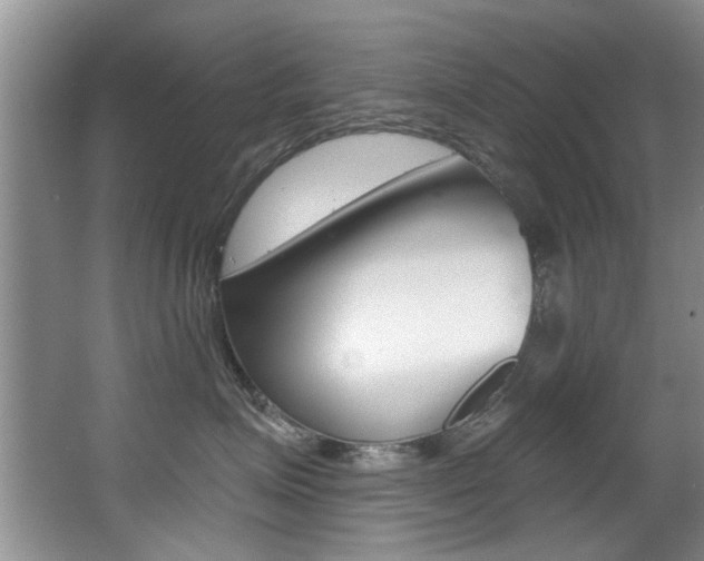 X0000064050623200601271000