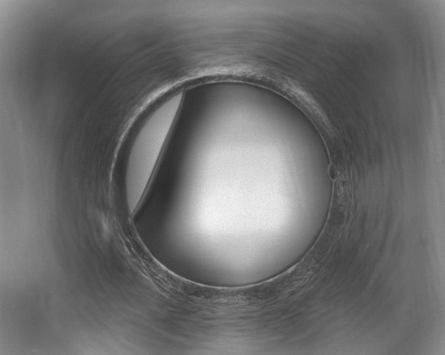 X0000064050628200601270959