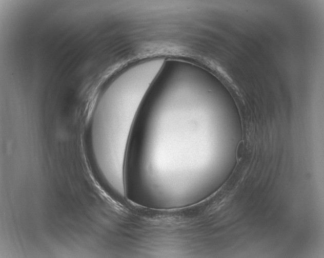 X0000064050629200601270959
