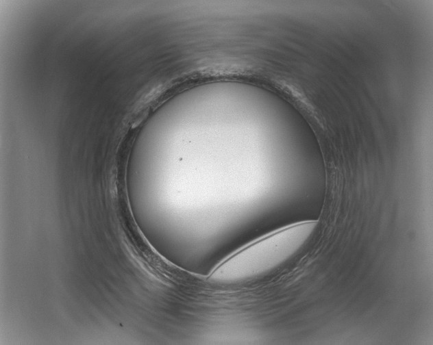 X0000064050631200601270959