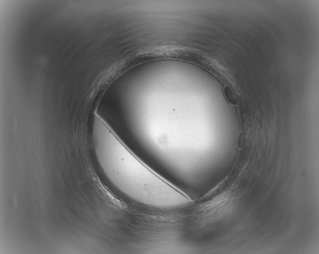 X0000064050633200601270959