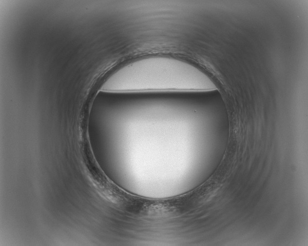 X0000064050635200601270959