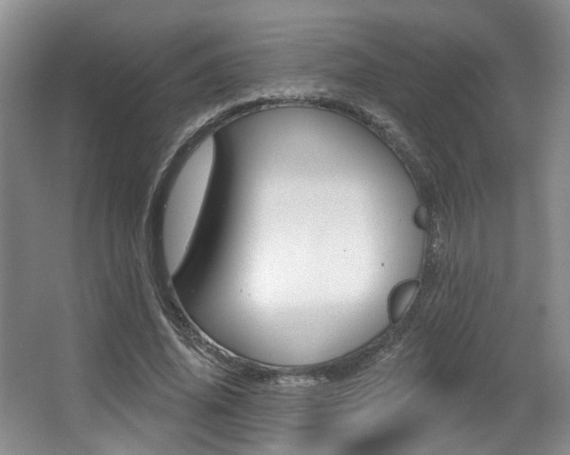 X0000064050636200601270959