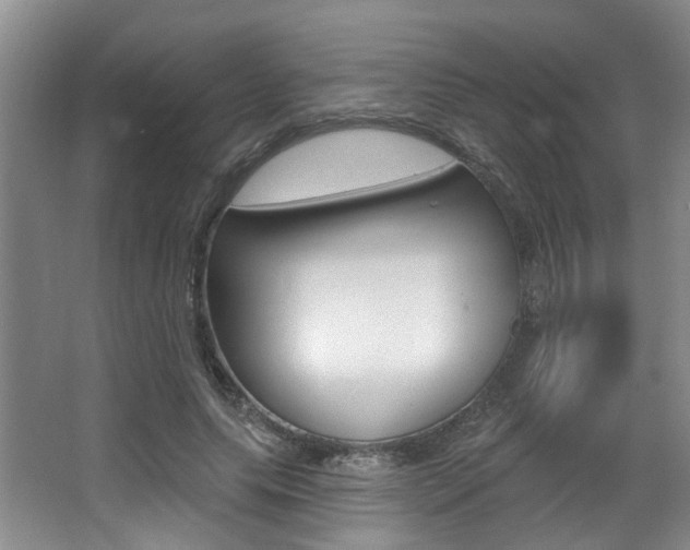 X0000064050639200601270959