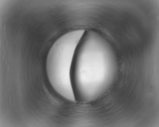X0000064050643200601270959