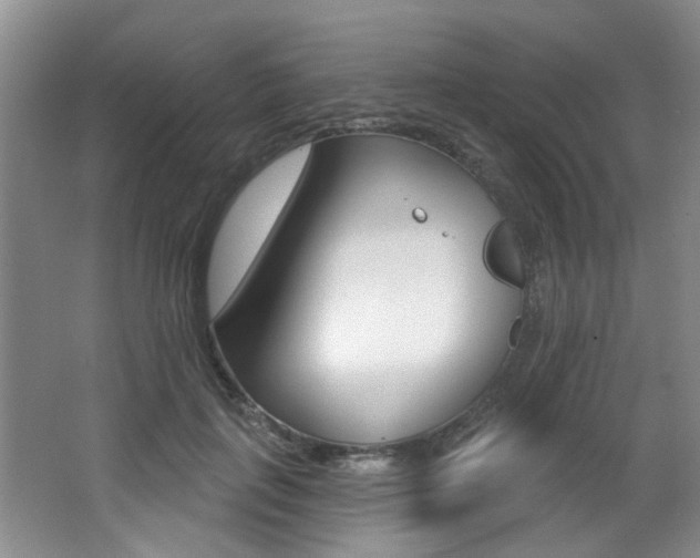 X0000064050651200601270959