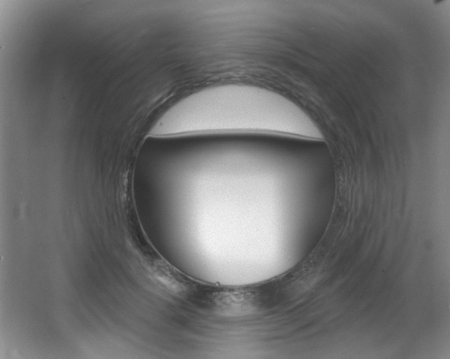 X0000064050652200601270959