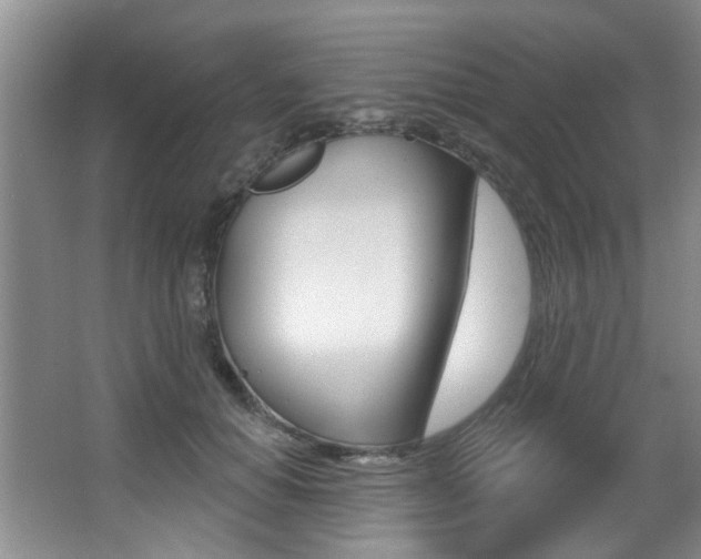 X0000064050654200601270959