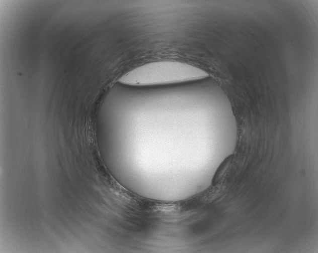X0000064050659200601271000