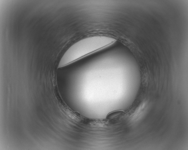 X0000064050661200601271000